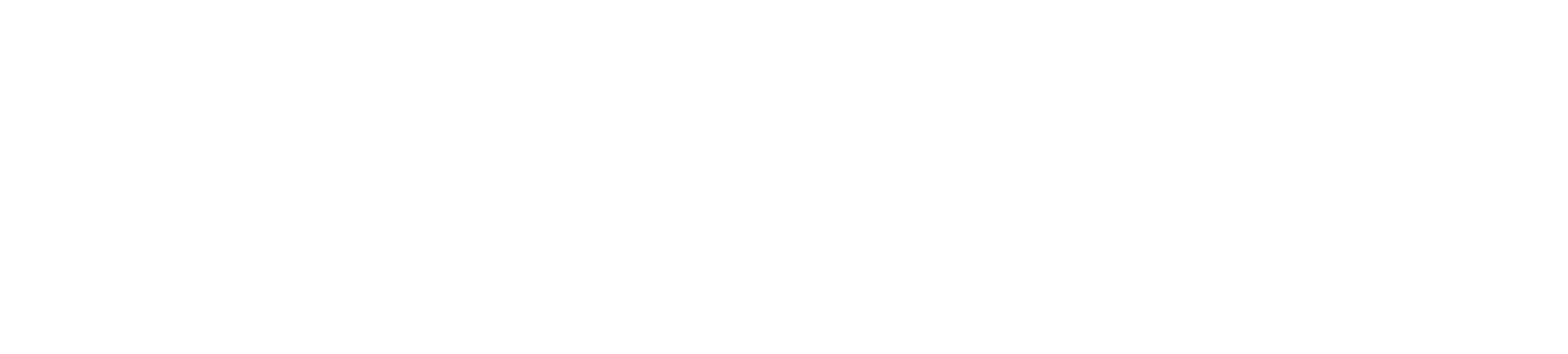 Vortex Fuels Logo